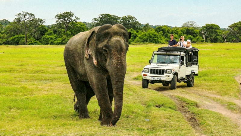 Active holidays in Sri Lanka