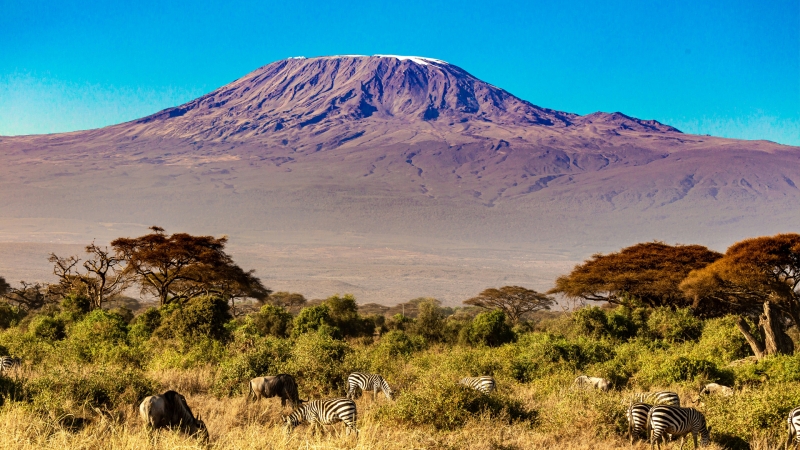 Africa is calling! Will you answer?
