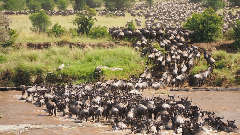 Africa is calling! Will you answer?
